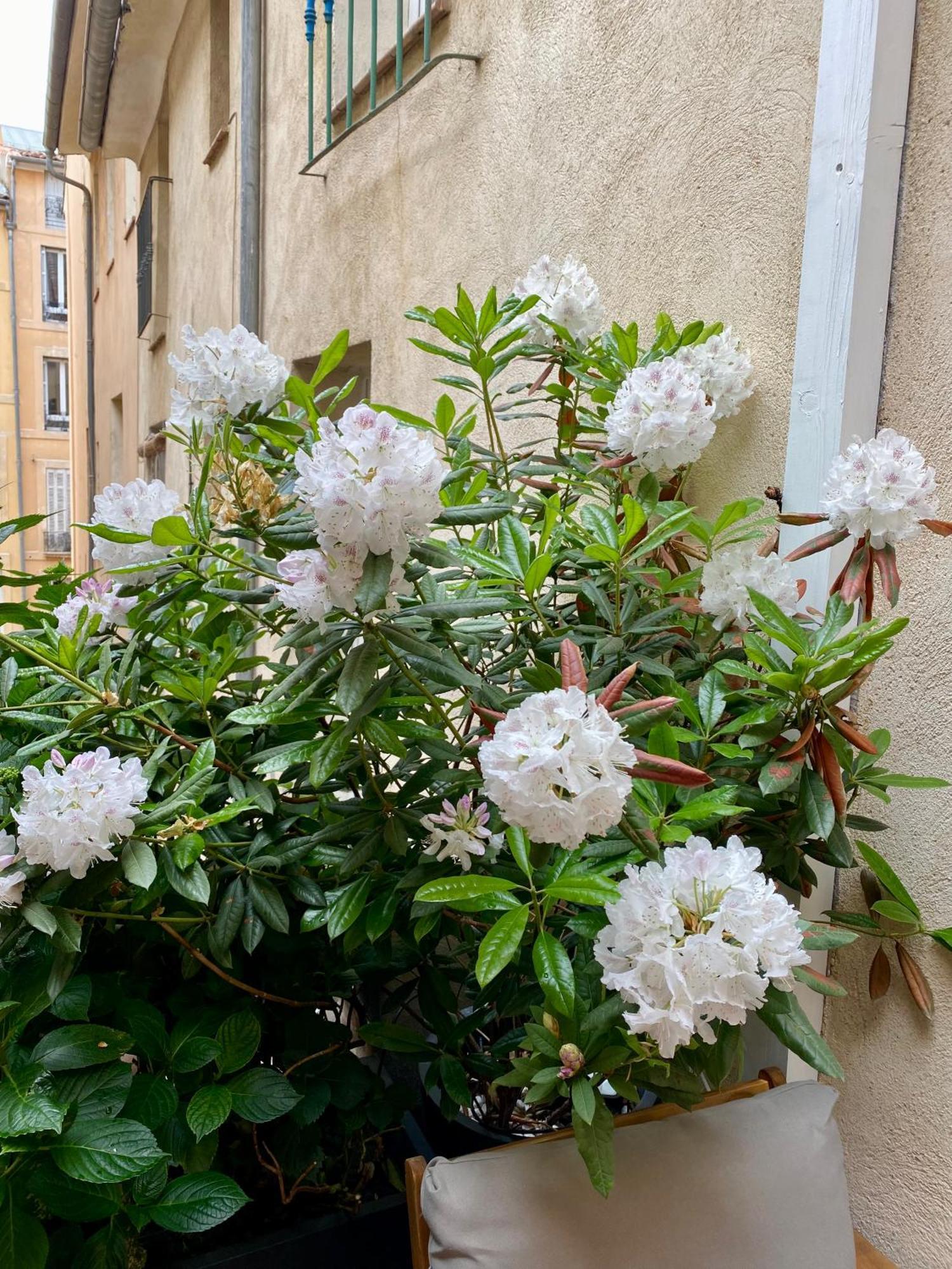 Appartement Luxe Terrasse Climatisation Centre D Aix Aix-en-Provence Exterior foto